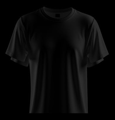 T SHIRT 2--2 WING